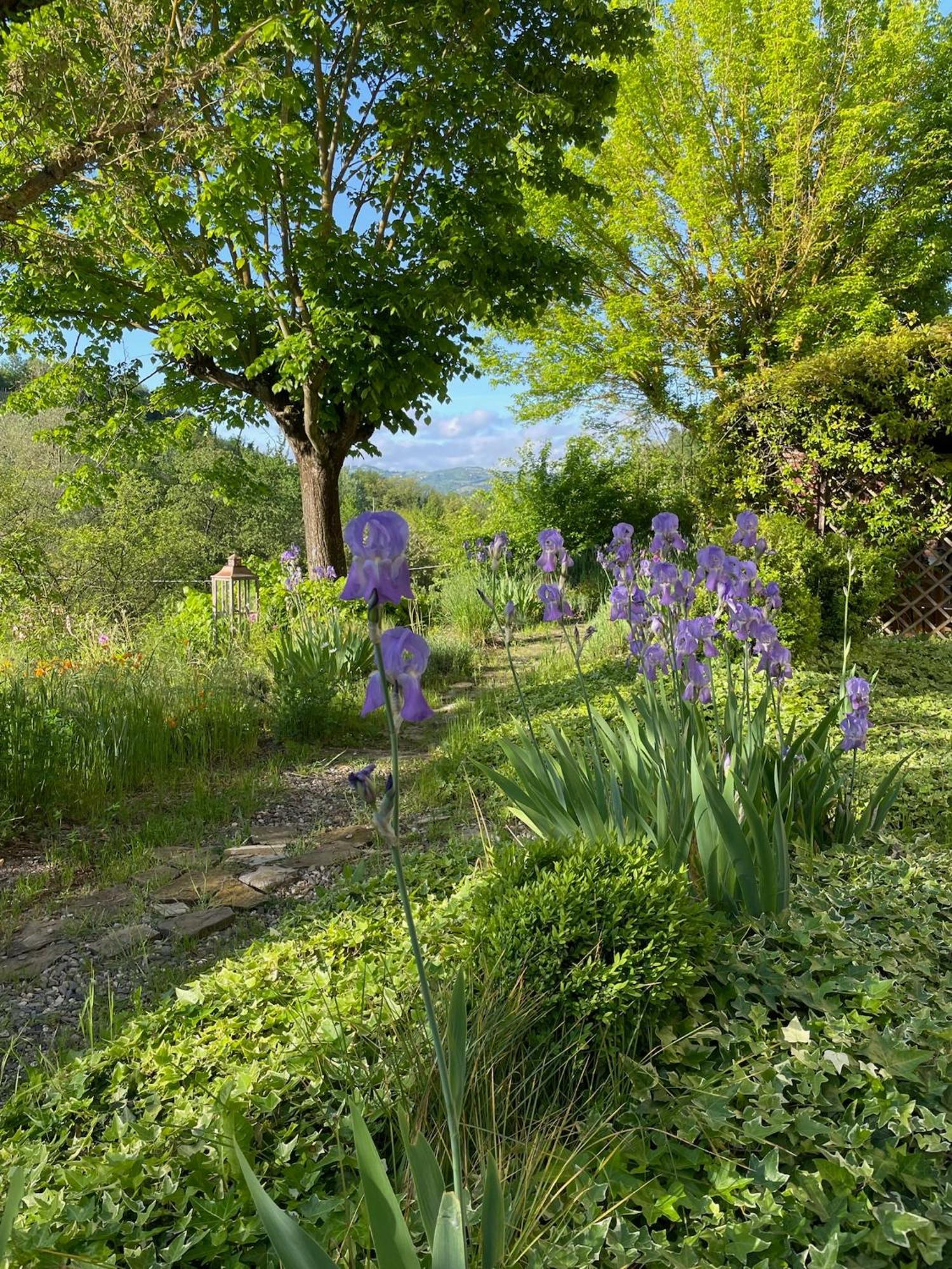 Verdmont Guest House Acqui Terme Exterior photo