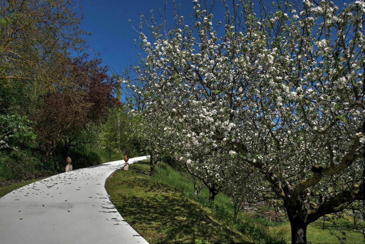 Verdmont Guest House Acqui Terme Exterior photo